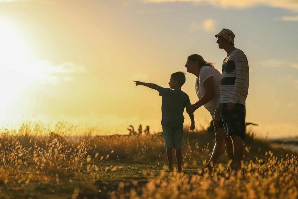 Living Trust Benefits Over Traditional Wills for Estate Planning